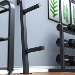 Rouser Black Weight Plate Wall Storage Rack