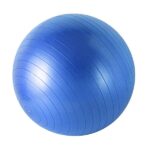 Rouser Blue Exercise Yoga Ball For Fitness